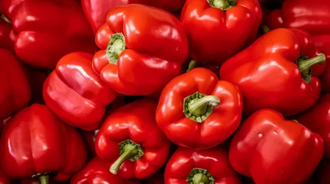 فلفل دلمه سرخ درشت براق روزچین یکدست ممتاز